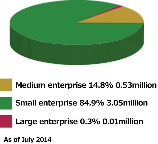 Small and Medium Enterprise (SME) - Definition, Characteristics