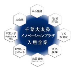 中小機構、地域行政、VC、投資家、海外展開、施設賃借（ラボ、オフィス）、専門家によるサポート、千葉大学、千葉大学医学部附属病院、大企業の連携で千葉大亥鼻イノベーションプラザ入居企業を支援